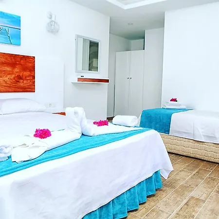 Hotel Mina Apart 2*